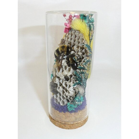Wasp Nest & Carpenter Bee Oddity Jar curiosity dome hive insect taxidermy goth - Picture 7 of 16